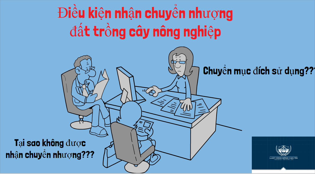 Dieu kien nhan chuyen nhuong dat trong cay nong nghiep - Điều kiện nhận chuyển nhượng đất trồng c&acirc;y n&ocirc;ng nghiệp