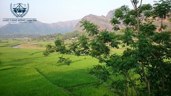 dat dai nong nghiep khi bi thu se duoc boi thuong - Bồi thường đất n&ocirc;ng nghiệp khi bị Nh&agrave; nước thu hồi đất